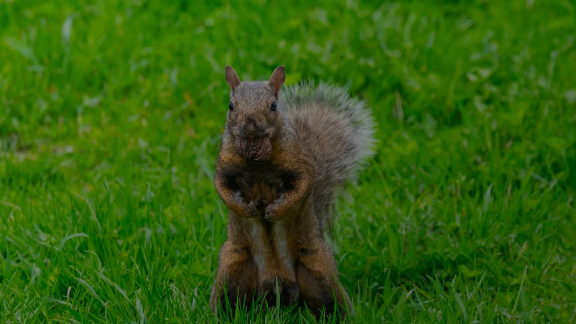 Aerial view of Cobourg, Ontario - Steward Seal Coating service area