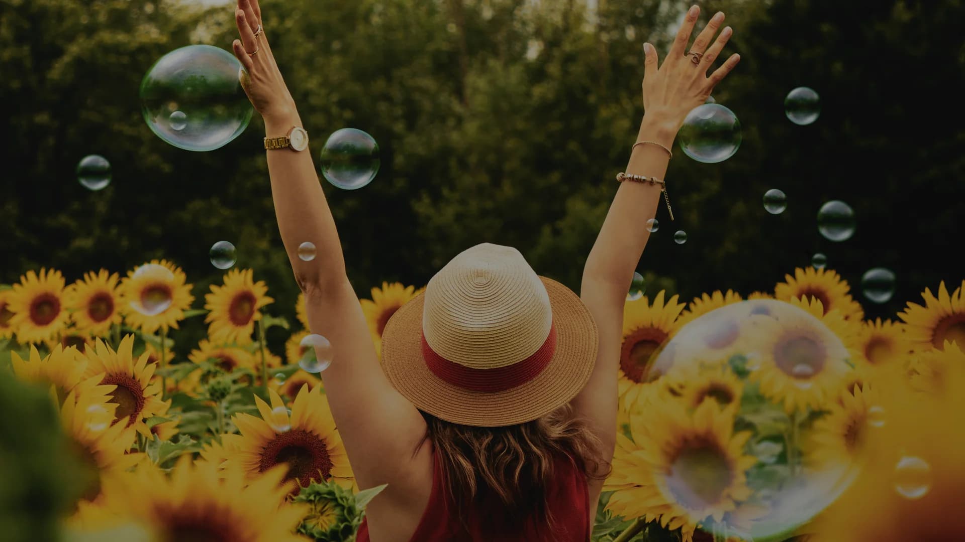 Aerial view of Hamilton, Ontario - Steward Seal Coating service area