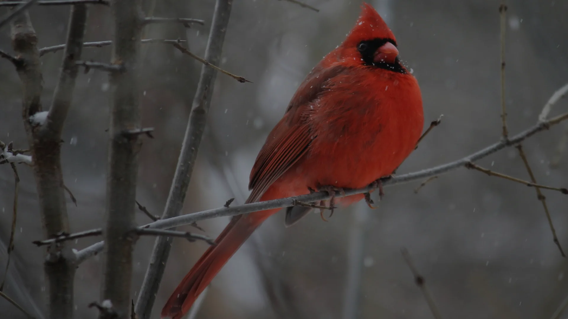 Aerial view of Kingston, Ontario - Steward Seal Coating service area